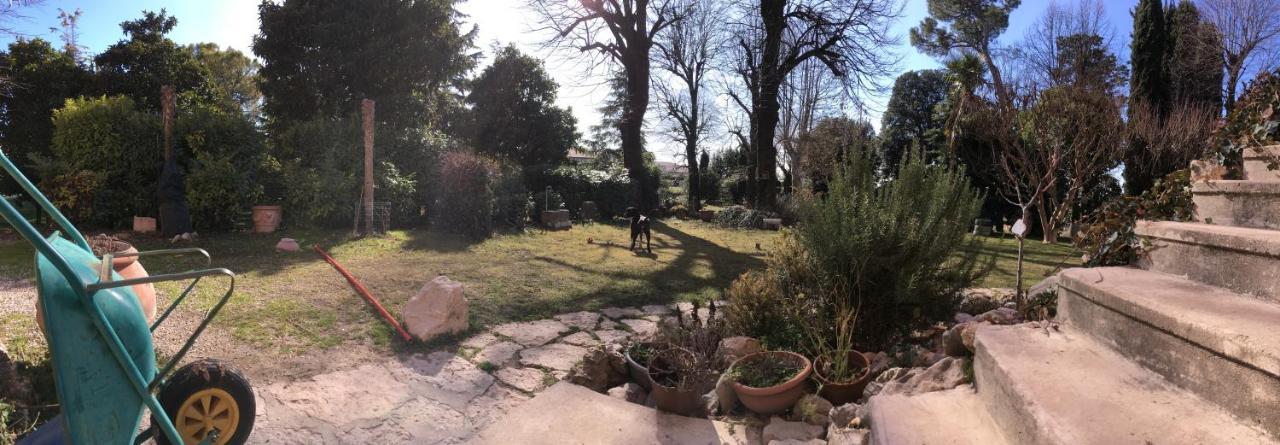 La Familia Lazise